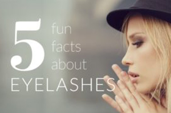 Read more about the article 5 Fun Facts About Eyelashes